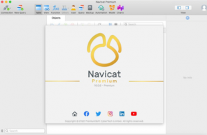 Navicat  Premium 15 永久破解激活工具及安装教程(亲测可用)-靠谱程序员